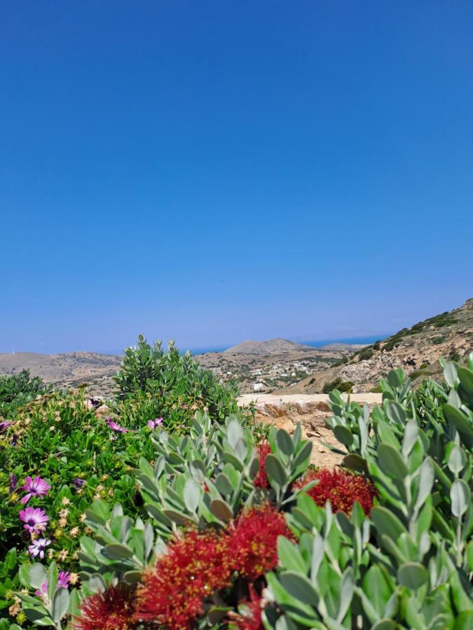 Villa Adeiata Adiata Exterior photo
